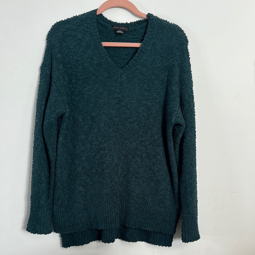 Sanctuary Dark Green V-Neck Long Sweater